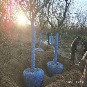 ����Ե �߸���÷ ����÷ Ʒ����ȫ