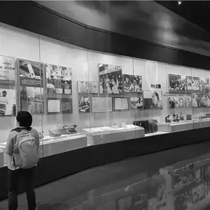 文物展柜定制