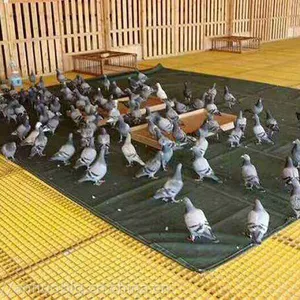 武安玻璃钢格栅生产厂家玻璃钢格栅报价 新闻玻璃钢格栅
