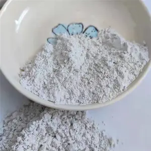������ Ư�������������� ������ש�� ������ʯ�ҷ�
