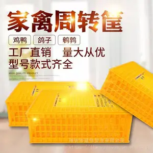 供应塑料鸡用运输笼 家禽周转筐 禽用运输笼 塑料鸡笼 家禽周转设备