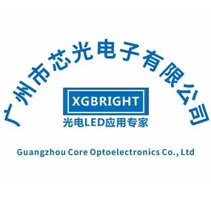 广州市芯光电子有限公司