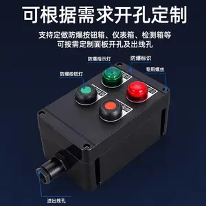 BZC-A2D2G����������������ʽ ������ť���Ǳ�������͵�Զ�̿���