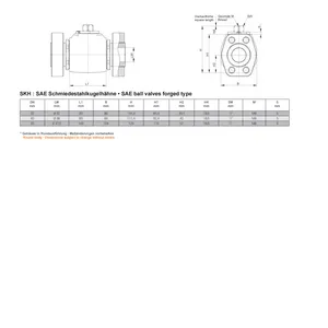 �¹�PISTER��SKH-DN32-SAE-3000PSI-S/S-31231������Һѹ���촬