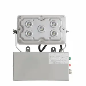 LED应急低顶灯NFC9178/NFE9178 led应急工作灯