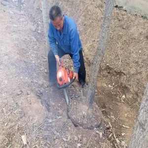 �������������� ���þ�������� ����ʯͷ����������