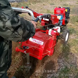 ���Ͷ๦����԰������ �����ݮ��ֲ��¢�� ɽ����ֲ����������