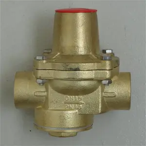 �綯��ͨ�ݿ��� DX236X DN100 304���������˿���� ���ؿ��Ʒ�