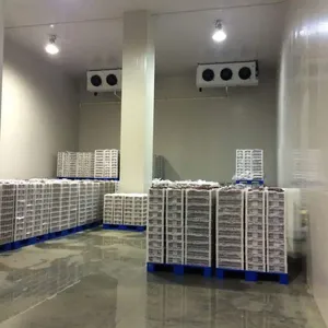 厂家直销 菏泽保鲜冷库 PU发泡板 冷库工程安装