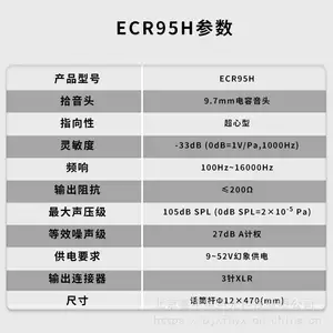 �߾������� 797 AUDIO ECR95H�������ݻ��黰Ͳ ���߶쾱��˷� ������