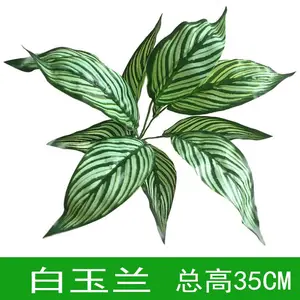��������ٲ�Ƥ���ڲ��û���ڹ����ܵ���õ�廨����Ҷֲ�ﱳ��ǽ
