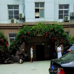 ����������ľ���� �����̻��羰�� ���������۸�