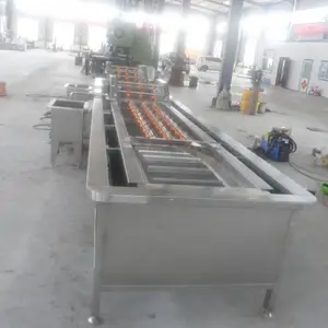 毛豆清洗机 蔬菜气泡清洗机 免费安装