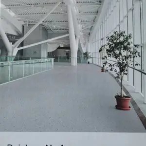 济南大巨龙塑胶地板 山东大巨龙塑胶地板 大巨龙PVC地板 大巨龙地胶