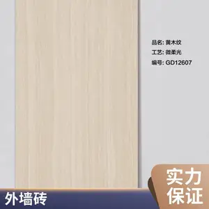 龙冠陶瓷 幕墙景观砖 干挂仿石PC砖 1.8厚600*1200mm