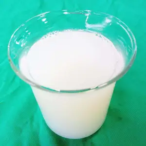 ��˫�Ҹ��Կ������� �����־� ˬ���ָ� ����άȾ������