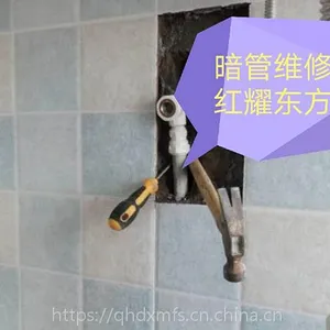 卫生间,暗埋管漏水人工智能(AI)排查 维修