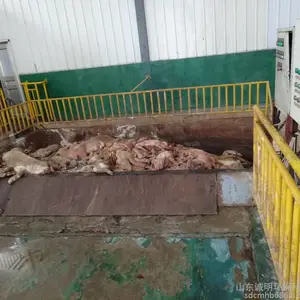 CM-8T肥猪无害化处理设备 山东诚明每批次8吨处理量养猪场无害化处理设备