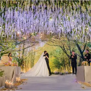 У԰����Χ����ֲ�ﲼ�����񳡵ػ��ű���ǽװ�η���ֲ��