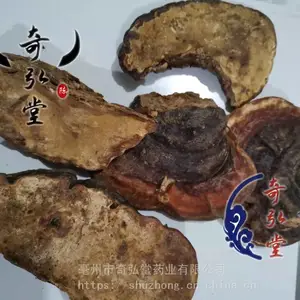 无柄灵芝的药用功效与用法用量