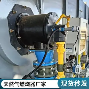 岱鼎燃烧 干燥炉阳极炉燃气烧嘴高炉煤气工业燃烧器裂解气源头厂家