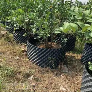 盆栽养殖控根器 大棚养殖控根器 育苗控根器 祥庆直销