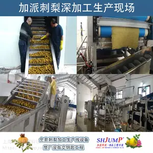 刺梨原浆 刺梨汁饮料 刺梨口服液 刺梨粉 全套刺梨加工生产线