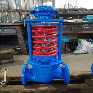 ѹ����������ʽ��ѹ�� ZZYP-25B ������������ʽѹ�����ڷ� ZZYP-25C DN300