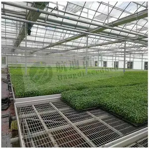 �ƶ��紲�� ���Ҵ��ﻨ���� ����ֲ��ֲ���� �ȶ�п��Ƭ�������� ����