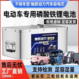 大容量三轮批发电瓶锂电池 48v60v国轩铁锂180安电池