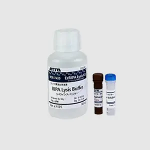 玉科海外进口精品 ATTO WSE-7420 EzRIPA 裂解试剂盒
