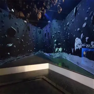 ҹ�ε��滥��ͶӰ ��ý���������ʽȫϢͶӰ��������