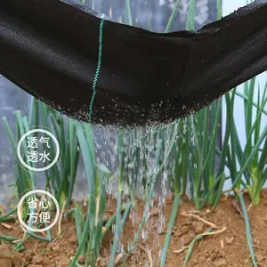 ̼�ر�ʪ���ݲ���ʪ͸ˮ