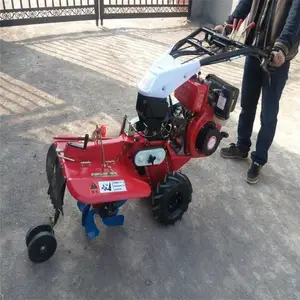 ���ʹ�п��������� ũҵ��԰������ ��԰���������� �Ʒ�