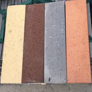 ��� ���� ���� ����ש �ս�ש ��ǽ����ש ������ ����ש