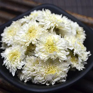 批发各种菊花黄山地区可为客户代收批发七月菊金丝皇菊黄山贡菊