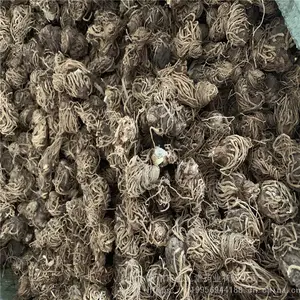 ͷ��һ����۸����Ǯһ���� ʬ���ߡ�����ߡ�ʨ�������� ����ֱ��