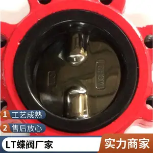 ֧��ʽ���� LT�� ͹���ֶ�����ַ� �͸�ʴ ��ҵ����֧�ֶ���