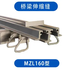 桥梁伸缩缝 160型伸缩缝 240型 组合型 聚进***