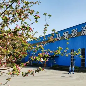 ���������ʾ� 0.6�����ɫ�ʸ־� TDX51D+AM100 ����װ�� ���ȱ���