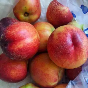 3��5�������� �޽Ӷ������� �Ժ�����