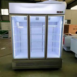 ***�·���ѩ��� ��ʽ�����䶳���� ����ȳ���������