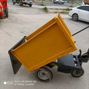 �㶫ʡ��Զ�й��ص綯�Ҷ��� ���ص�ƿ���ֶ��� ������С�͵綯���˳�