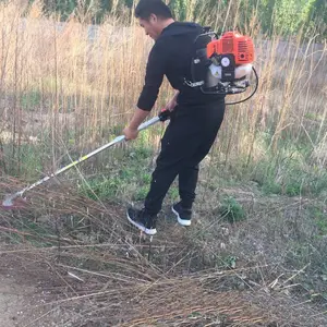 ����ʽ�����ĳ�̱���ʽ���͸�������԰�ֻ�е