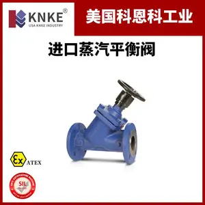 进口蒸汽平衡阀 自动平衡蒸汽流量 美国KNKE科恩科品牌