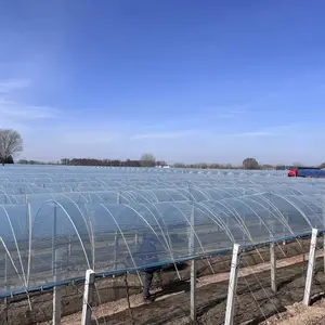 葡萄塑料大棚膜 葡萄避雨棚膜 萄大棚专用膜 葡萄专用膜
