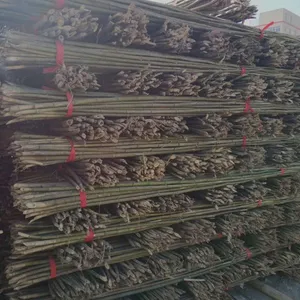 唐山4米竹竿批发-腾福竹木