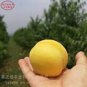 ������۸����36-5���硢36-5������繩Ӧ��