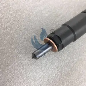 德尔福28437695喷油器/云内国五喷油器28437695山东力之源油嘴油泵供应商