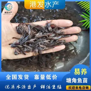 ������������һ�� �㶫�޶����������������� ���ع�Ӧ ����